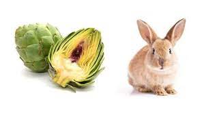 Can Rabbits Eat Artichokes